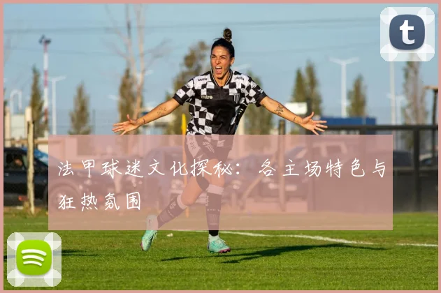 法甲球迷文化探秘：各主场特色与狂热氛围