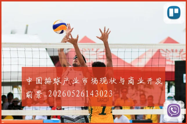 中国排球产业市场现状与商业开发前景_20260526143023